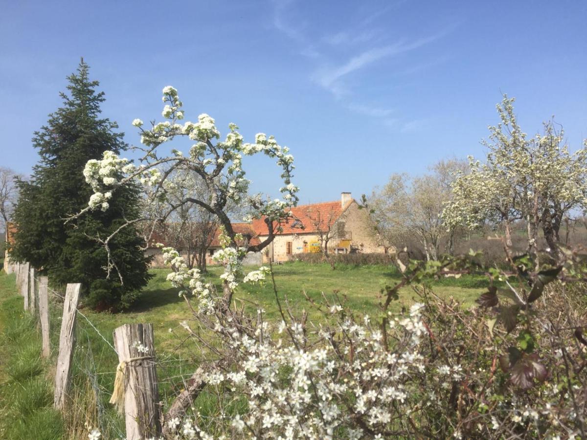 Chambres D'Hotes Domaine Les Grands Perons Herisson Luaran gambar